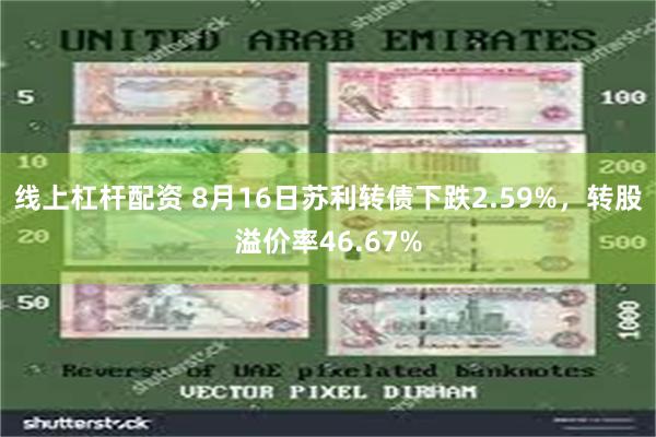 线上杠杆配资 8月16日苏利转债下跌2.59%，转股溢价率46.67%