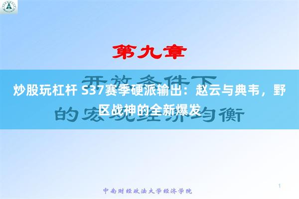 炒股玩杠杆 S37赛季硬派输出：赵云与典韦，野区战神的全新爆发