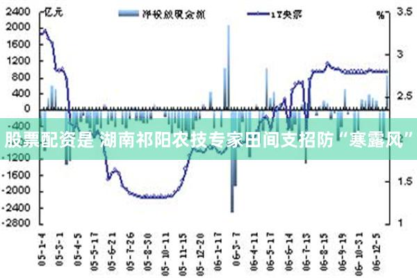 股票配资是 湖南祁阳农技专家田间支招防“寒露风”