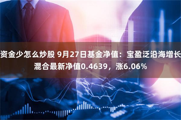 资金少怎么炒股 9月27日基金净值：宝盈泛沿海增长混合最新净值0.4639，涨6.06%