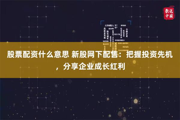 股票配资什么意思 新股网下配售：把握投资先机，分享企业成长红利