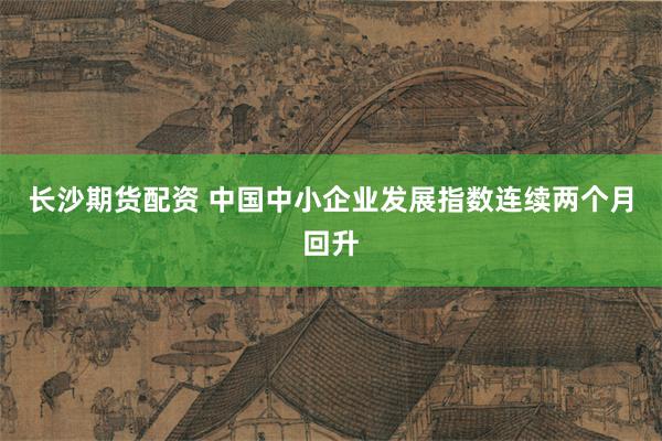 长沙期货配资 中国中小企业发展指数连续两个月回升