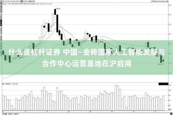 什么是杠杆证券 中国—金砖国家人工智能发展与合作中心运营基地在沪启用