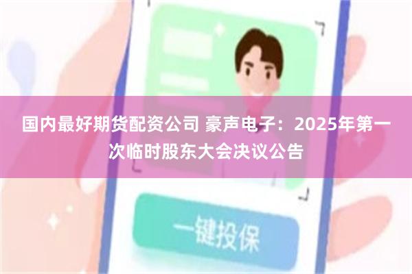 国内最好期货配资公司 豪声电子：2025年第一次临时股东大会决议公告