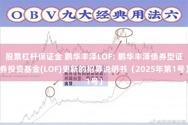 股票杠杆保证金 鹏华丰泽LOF: 鹏华丰泽债券型证券投资基金(LOF)更新的招募说明书（2025年第1号）