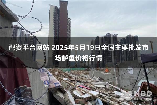 配资平台网站 2025年5月19日全国主要批发市场鲈鱼价格行情