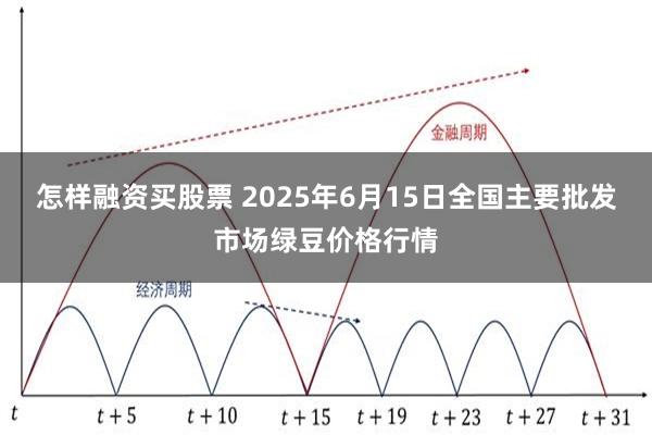 怎样融资买股票 2025年6月15日全国主要批发市场绿豆价格行情